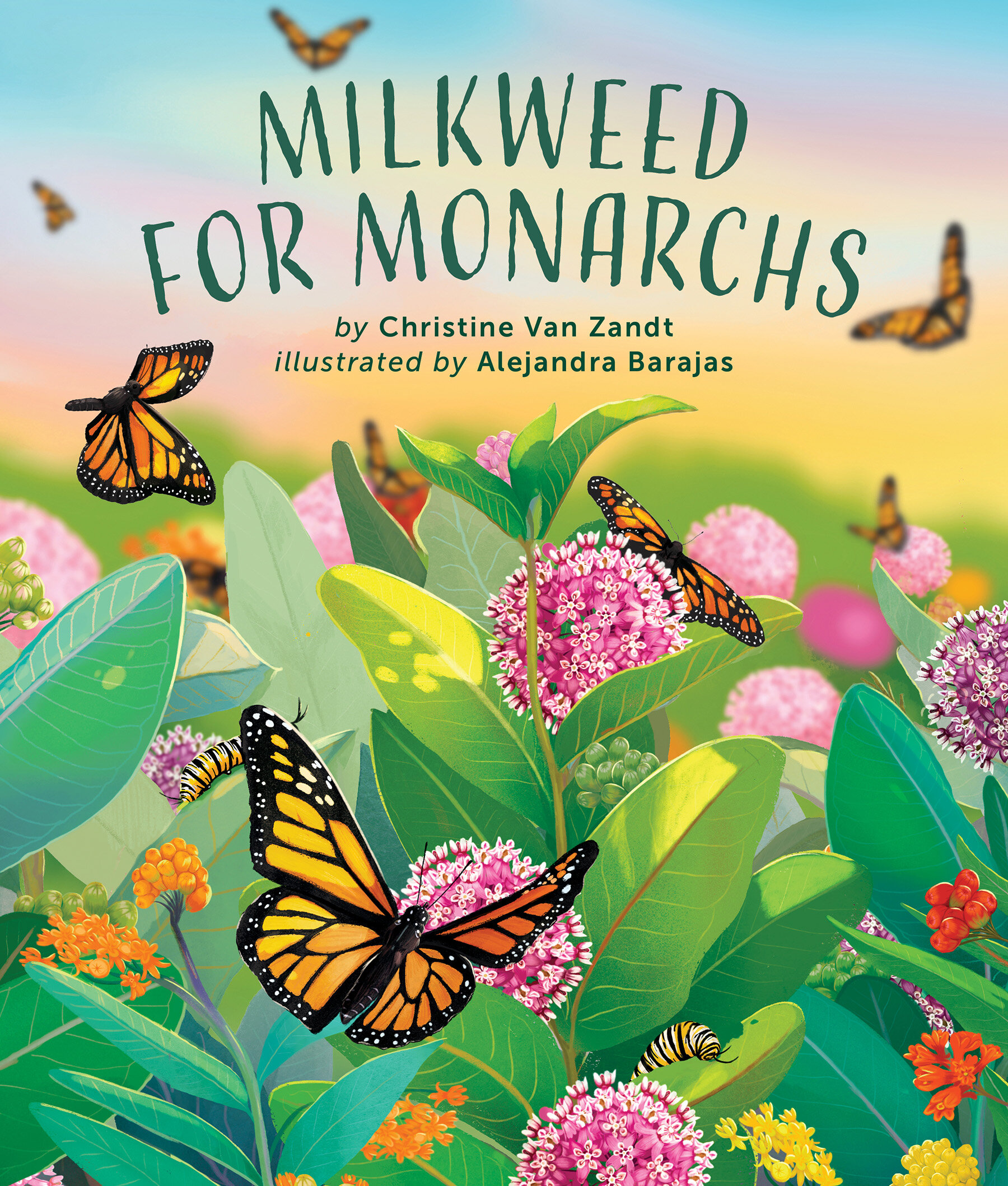 Milkweed for Monarchs